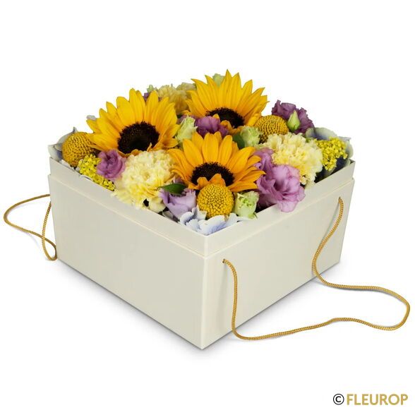 Blumenbox «Arles» (20 cm)